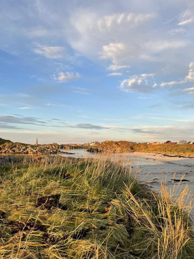 Apartment Utsikten Andenes Zewnętrze zdjęcie